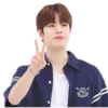 StrayKids 9