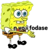 n voi fodase