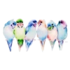 Animals 6