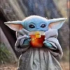baby jod 12