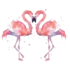 Animals 7