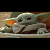 baby jod 13