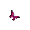 Animals 9