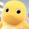 dino kuning lcu 8