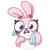 Rosy Bunny 14