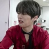 Stray Kids 14