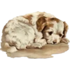 Animals 14