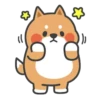 Tonton friends 11