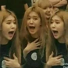 — blackpink — 17