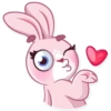 Rosy Bunny 15