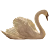 Animals 16
