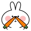 Spoiled Rabbit 16