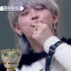 StrayKids 15