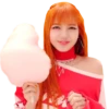 BLACKPINK 17