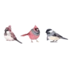 Animals 20