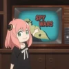 SPY WARS