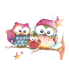 Animals 22