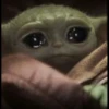 baby jod 23