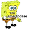 amei fodase