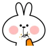 Spoiled Rabbit 24