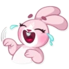 Rosy Bunny 23
