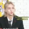Stray Kids 24