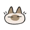 Kawaii Siamese 19
