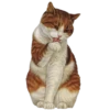 Animals 25