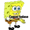 I Caguei fodase