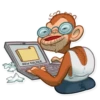 Mona Monkey 27