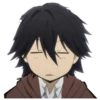 Bungo stray dogs 25