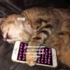 me wholesomegr sweet messages you've sent me that i read when i miss you