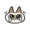 Kawaii Siamese 27