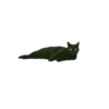 Animals 30