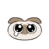 Kawaii Siamese 30