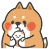 Tonton friends 24