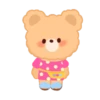 Brownie Bear 6