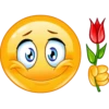 Struppi´s Smiley Pack 10