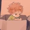 Baby shoyo 12