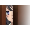 Bunny Girl's Dream 12