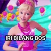 barbie marah 13