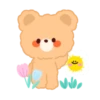 Brownie Bear 13