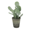 Aesthetic 8