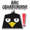 BlackbirdMerl 11