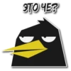 BlackbirdMerl 12