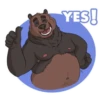 bears 5