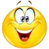 Struppi´s Smiley Pack 16
