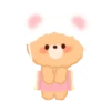 Brownie Bear 14