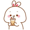Bunny 13