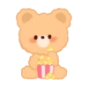 Brownie Bear 16